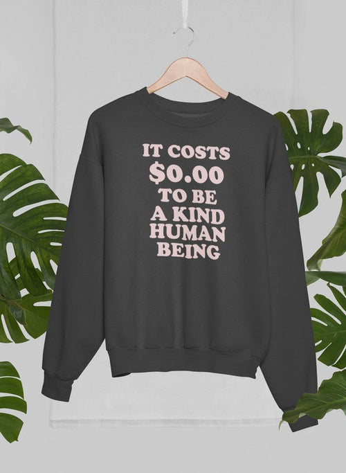 It Costs $0.00 To Be A Kind Human Being Sweat Shirt