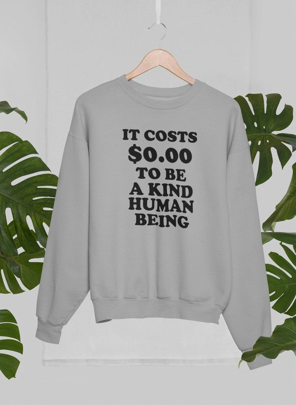 It Costs $0.00 To Be A Kind Human Being Sweat Shirt